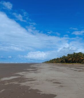 Vista panorámica de Playa Bandera en Parrita con palmeras y arena oscura