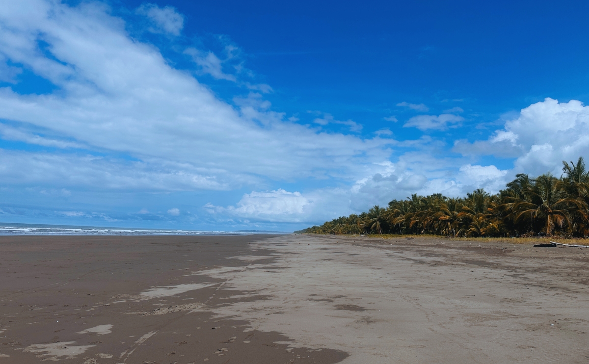 Vista panorámica de Playa Bandera en Parrita con palmeras y arena oscura