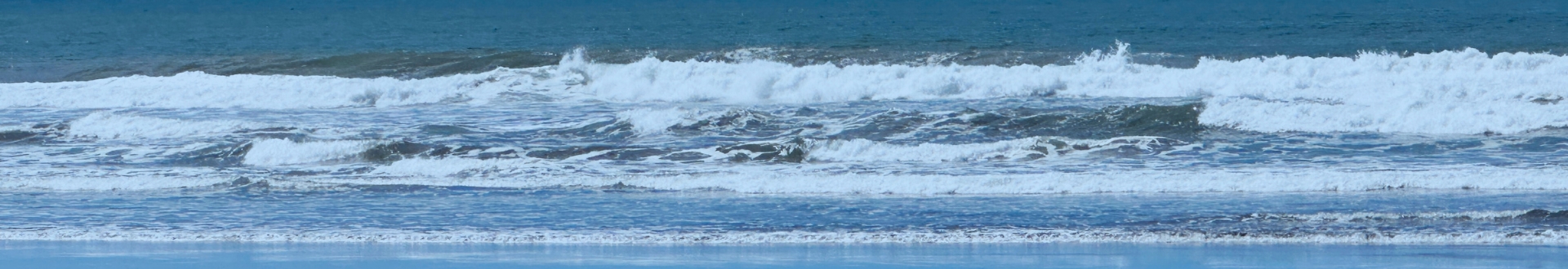 Vista panorámica de Playa Bandera en Parrita con palmeras y arena oscura