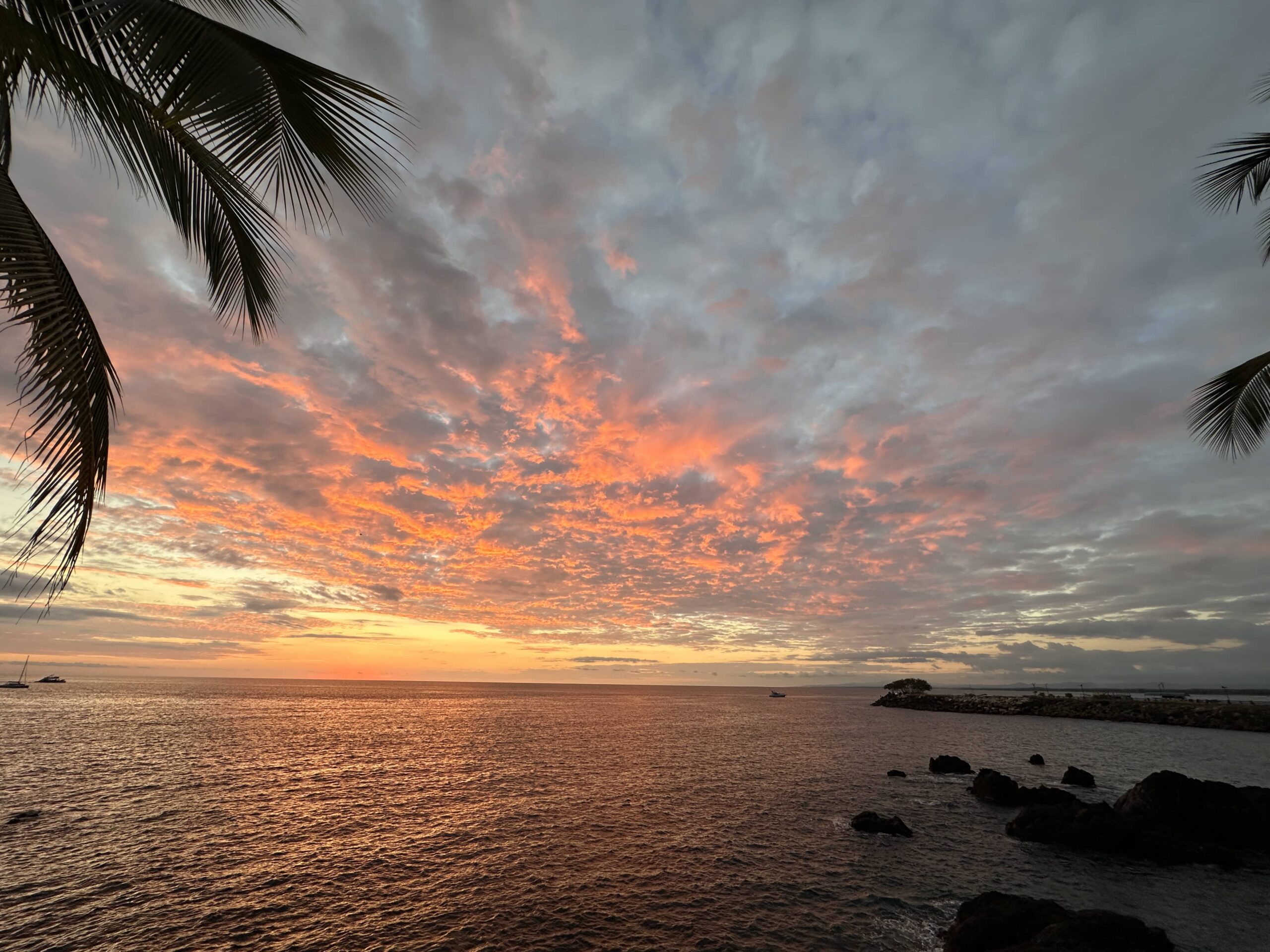 Palm tree silhouettes at sunset on a Costa Rica beach
